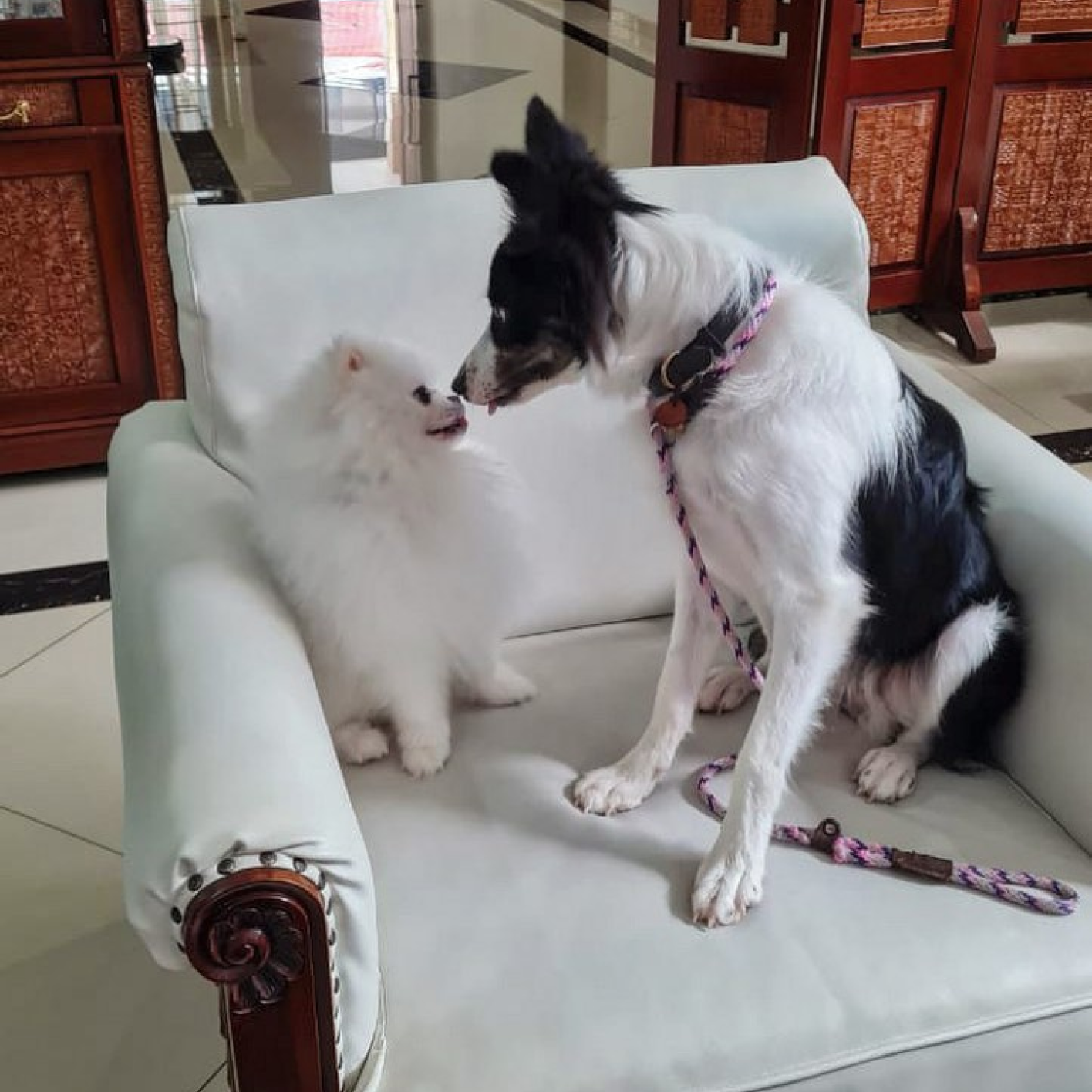 Kou Berry and Chiizu